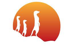 Installer et Déployer Suricata en mode IDS - Cover Image